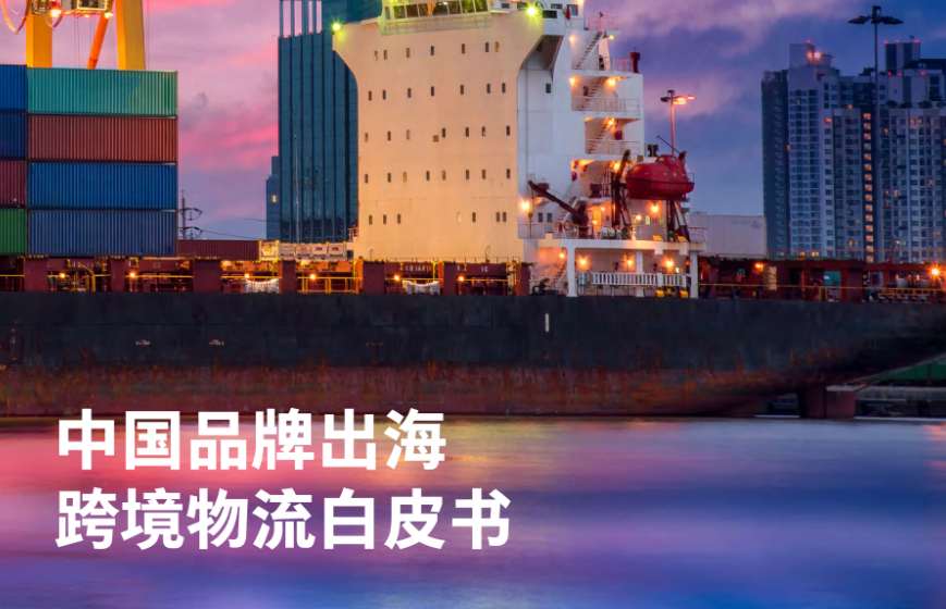 菜鸟网络：2022中国品牌出海跨境物流白皮书（34页）.pdf